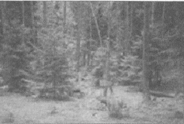 Lito, Vilties bunkerio - žūties vieta